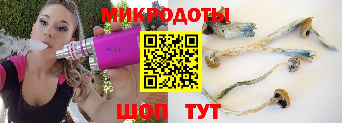 Псилоцибиновые грибы Magic Shrooms  Вход с VPN  Советская Гавань  Галлюциногенные грибы ЛСД 